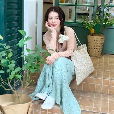 海豚爱上猫封面